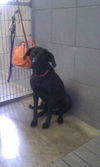 Felda - ADOPTED 01.29.11