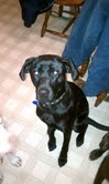 Felda - ADOPTED 01.29.11