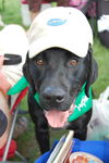 Champ - ADOPTED 08.26.12