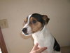 Russell - ADOPTED 02.05.11