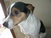 Russell - ADOPTED 02.05.11
