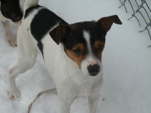 Russell - ADOPTED 02.05.11