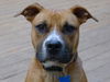 Benson-ADOPTED-11.21.11