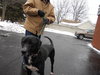 Sir Buddy-PENDING