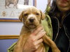 Mb Litter Tali - ADOPTED 02.04.11