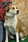 Moira - ADOPTED 05.30.11