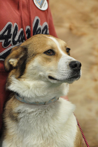 Moira - ADOPTED 05.30.11