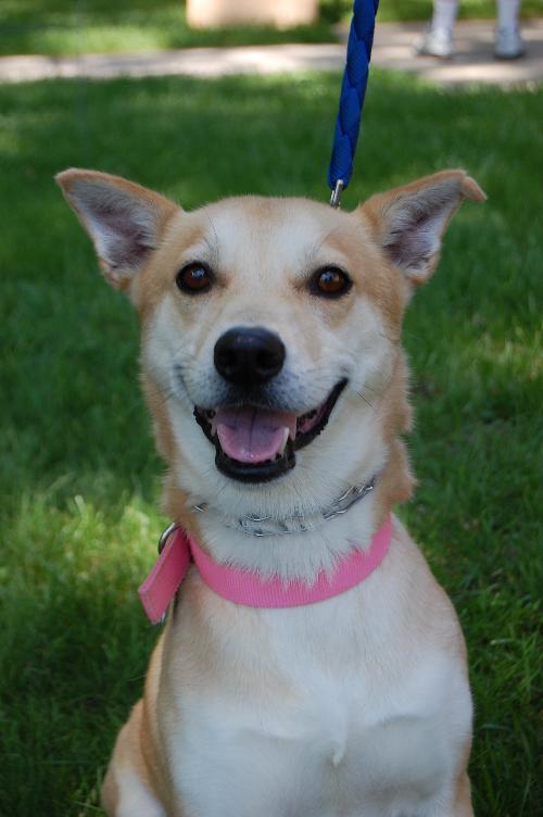 Honey - ADOPTED 09.29.11