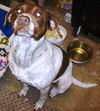 Klara Bell - ADOPTED 03.20.11