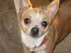 Squiggy - ADOPTED 08.07.11