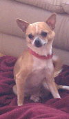 Squiggy - ADOPTED 08.07.11