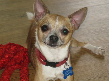 Squiggy - ADOPTED 08.07.11