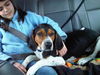 Mason - ADOPTED 08.01.15
