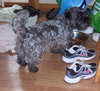 Barkley-ADOPTED-10.28.11