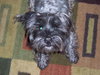 Barkley-ADOPTED-10.28.11