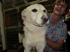 Topaz-ADOPTED