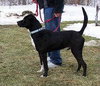Boomer-ADOPTED-5.17.11