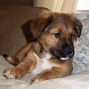 Wb Litter-Kahne - ADOPTED 4.13.11