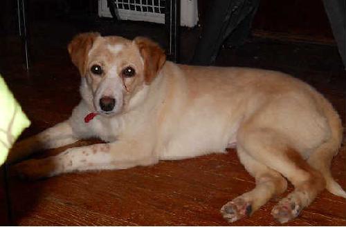Brita-ADOPTED-5.3.11
