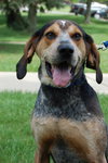 Drake-ADOPTED
