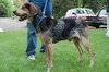 Drake-ADOPTED