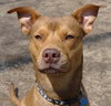 Spencer - ADOPTED 02.10.12