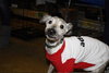 Molly-ADOPTED-3.27.11