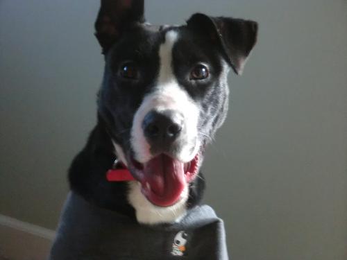 Wrigley - ADOPTED 05.30.11