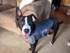 Wrigley - ADOPTED 05.30.11