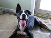 Wrigley - ADOPTED 05.30.11