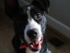 Wrigley - ADOPTED 05.30.11