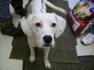 Krissy-Adopted 3/24/11