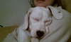 Krissy-Adopted 3/24/11