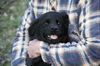 Marabel - ADOPTED 03.27.11