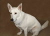 Tyson-ADOPTED-3.25.11