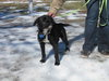 Mia - ADOPTED 04.17.11