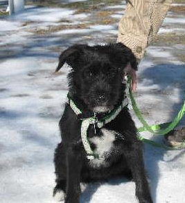 Mia - ADOPTED 04.17.11