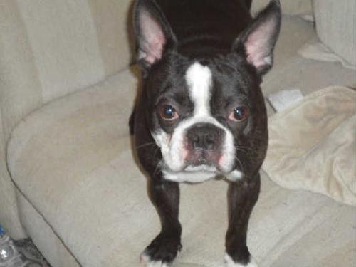 Sherwin - ADOPTED 04.01.11