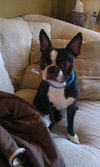 Sherwin - ADOPTED 04.01.11