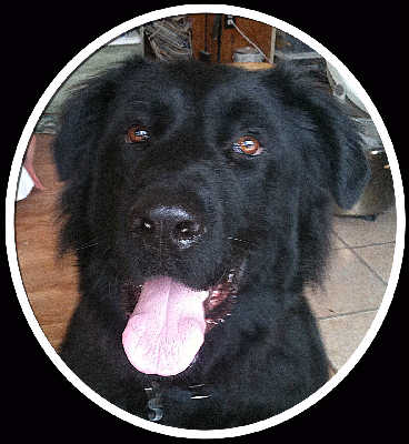 TJ