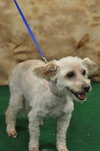 Nora - ADOPTED 09.04.11