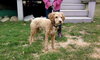 Dudley-ADOPTED-1.22.12