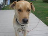 Kendall - ADOPTED 05.13.11