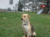Kendall - ADOPTED 05.13.11