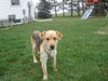 Kendall - ADOPTED 05.13.11
