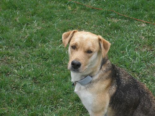 Kendall - ADOPTED 05.13.11