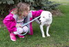 Miss Daisy - ADOPTED 07.05.11