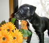 Ec Litter-Sparkle - ADOPTED 05.09.11