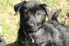 Blossom-ADOPTED-4.30.11