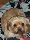 Tiffany-ADOPTED